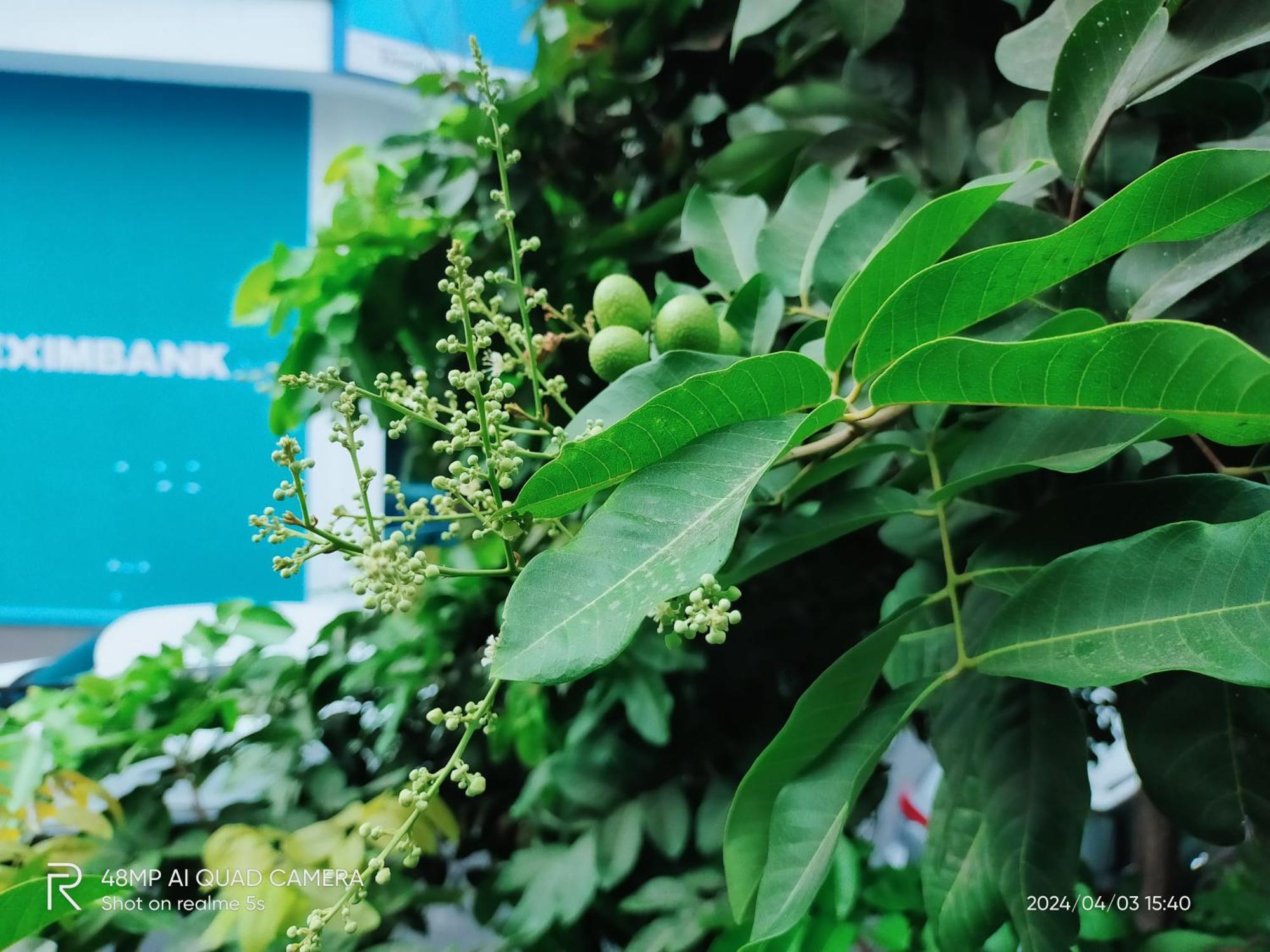Shusimi House & Boutique Near Tan Son Nhat Airport Ho Şi Min Dış mekan fotoğraf